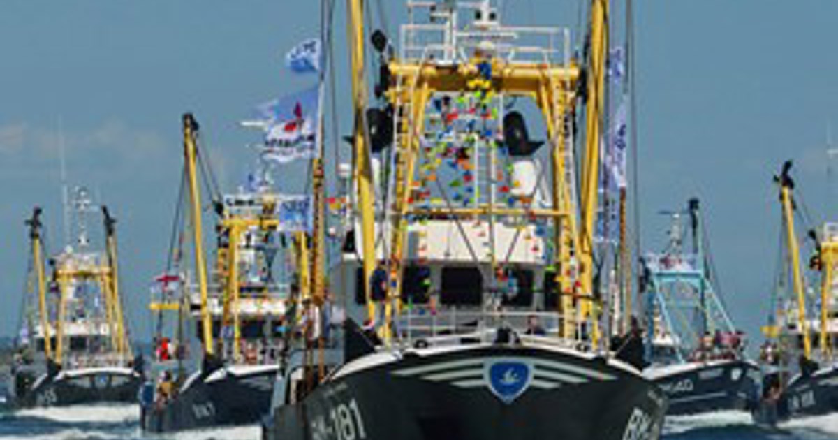 Brixham Trawler Race