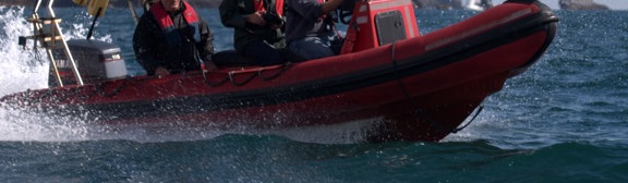 Tor Bay Harbour - Model Powerboat Race