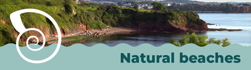 Natural beach standard award